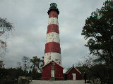 Click to see 02 Chincoteague 02.JPG
